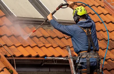 Démoussage et hydrofuge de toiture à Exoudun